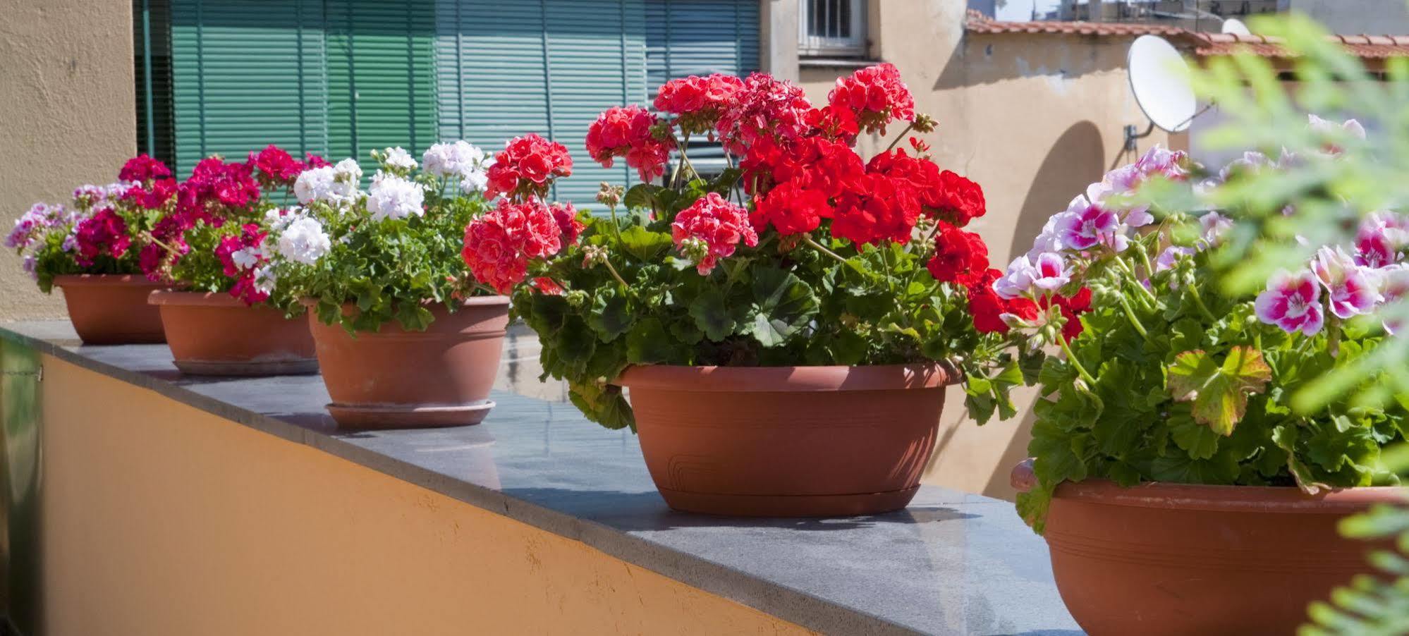 Tetto Fiorito Apartment Castellammare di Stabia Ngoại thất bức ảnh